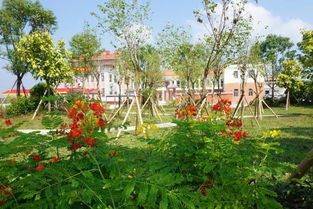 雅色村綠化工程竣工 生態(tài)畫(huà)卷添新景，高清美圖共賞時(shí)
